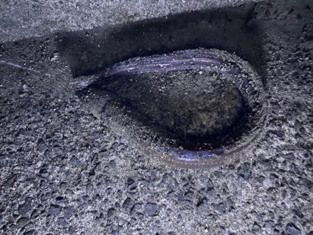 花見カレイ釣り