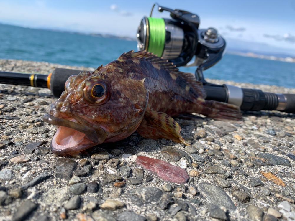 ライトロックゲーム