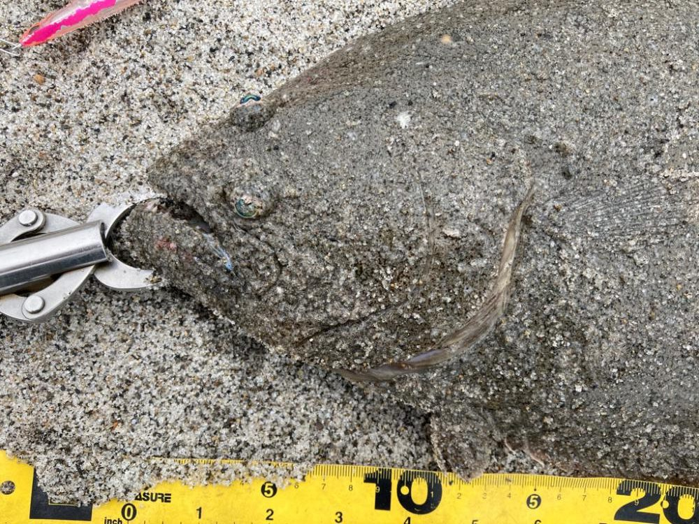 座布団もう一枚？！