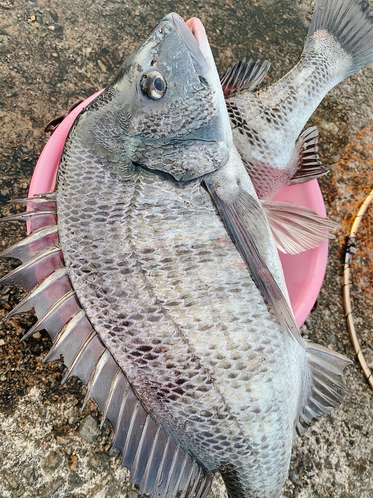 スランプ脱出⁇