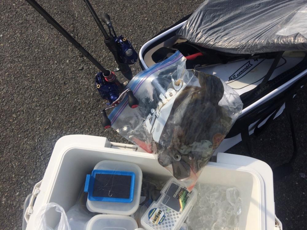 シーズン最終盤のカワハギ釣り