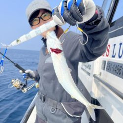 連日イルカ続きだけど…