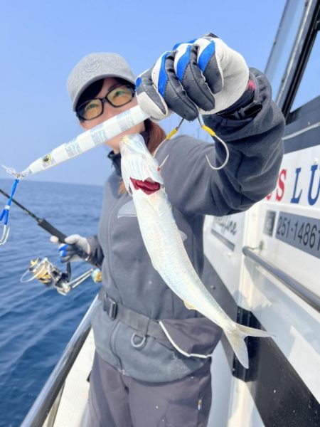 連日イルカ続きだけど…