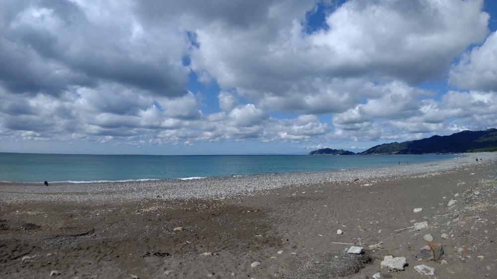 春や!春ですよ!