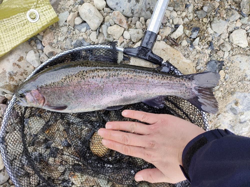 久しぶりの投稿