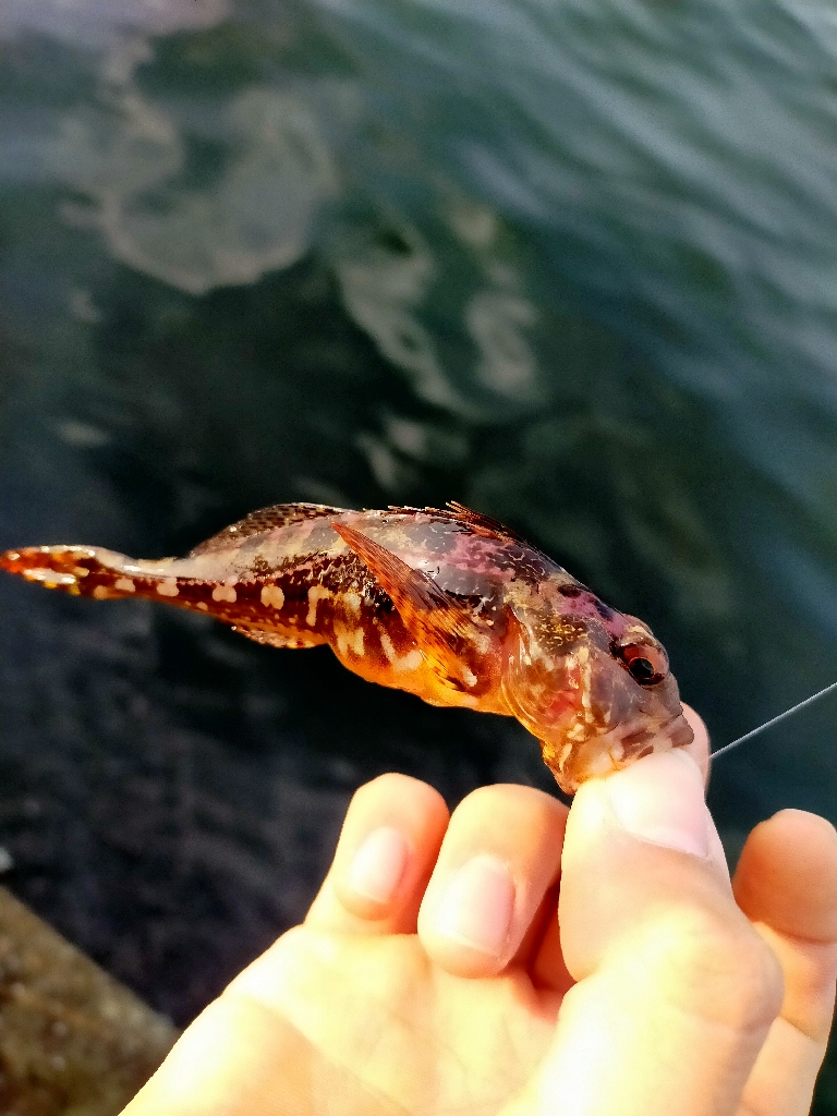 神戸空港ライトゲーム