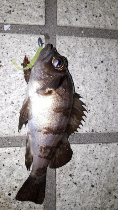 野暮用にて淡路島IN