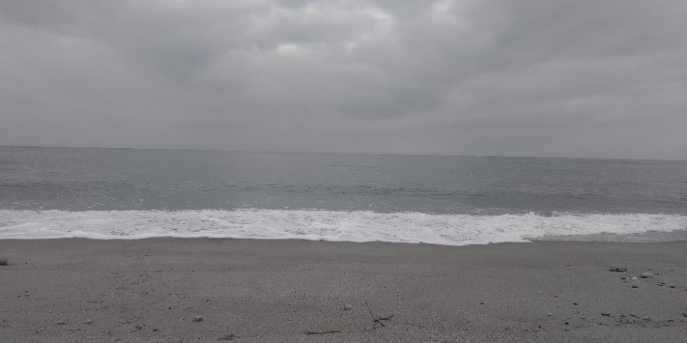 吹上浜にてサゴシ