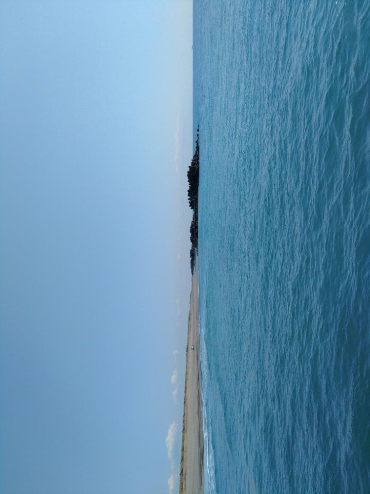 ２ヶ月ボウズでした(*_*)