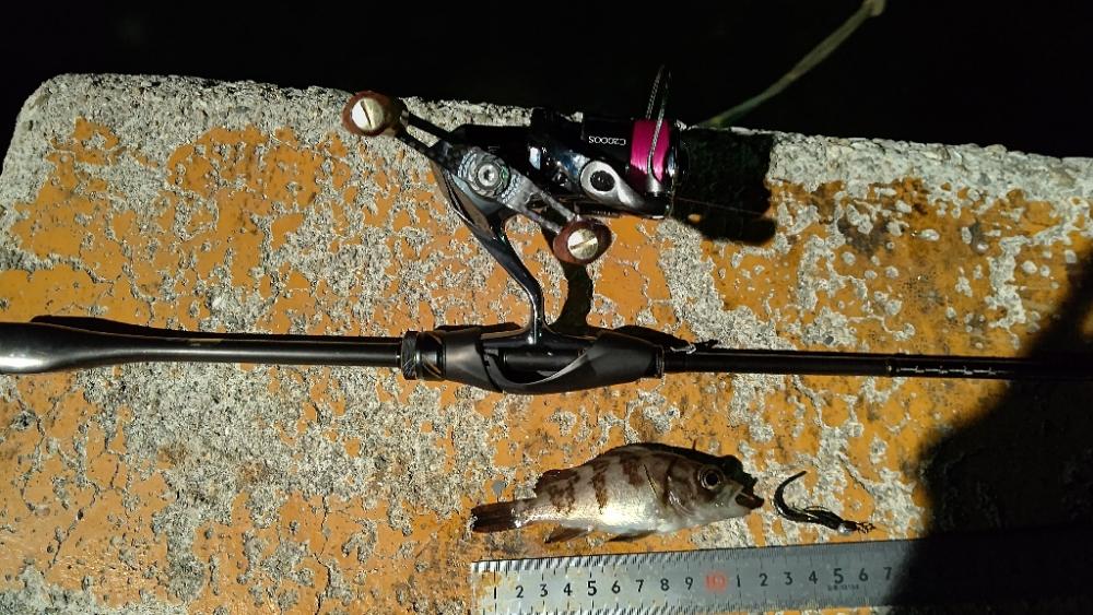 初プラグフィッシュ