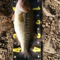 ようやく初バス