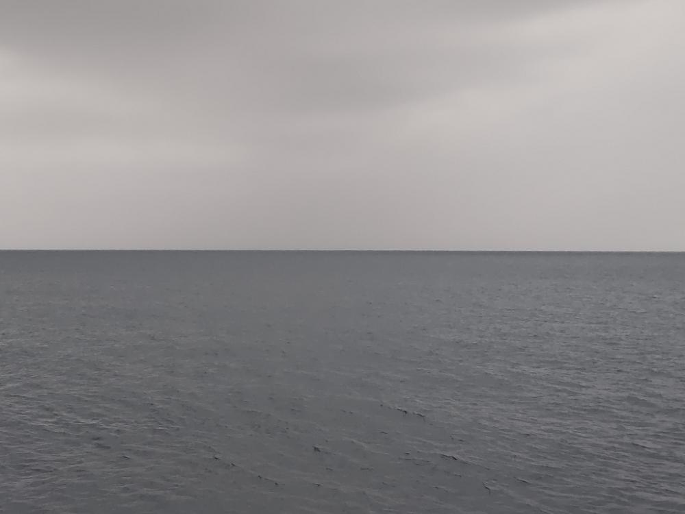 ショアキャスティング