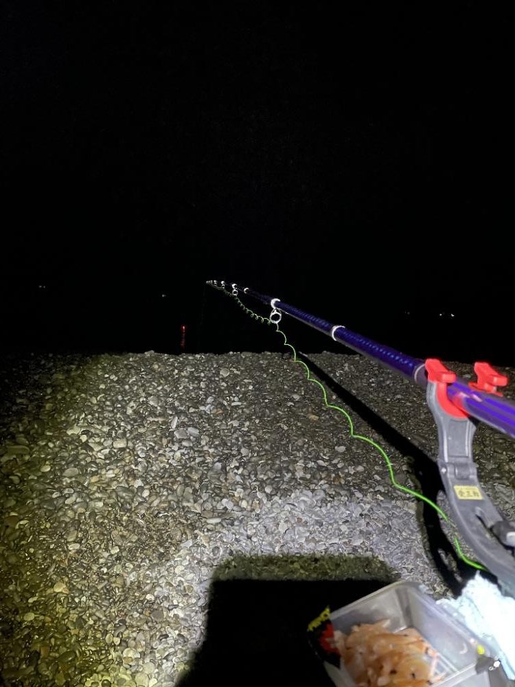 ロマンを求めてダツ