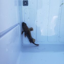 まだまだ渋い季節