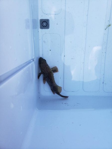 まだまだ渋い季節