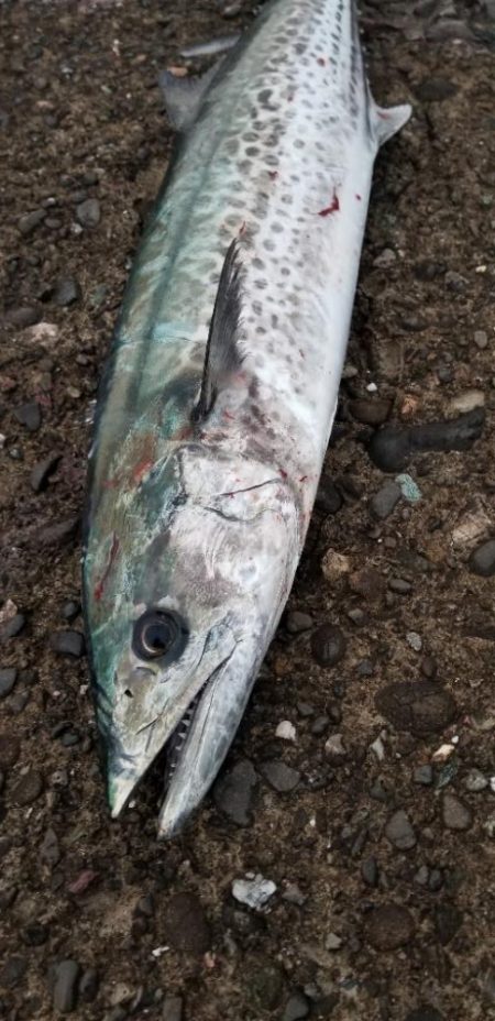 メーター届かず