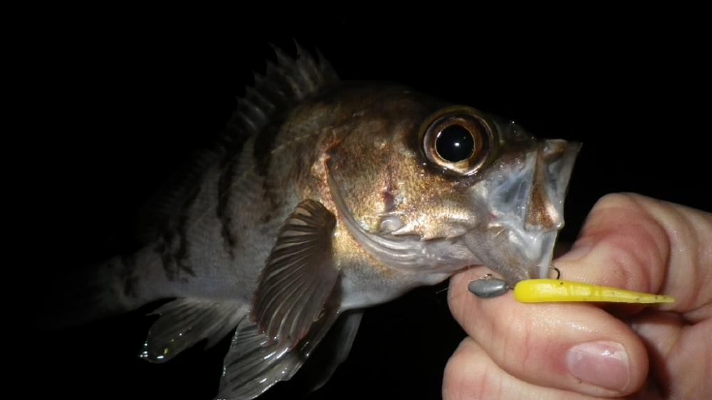 雨の止み間にアタック