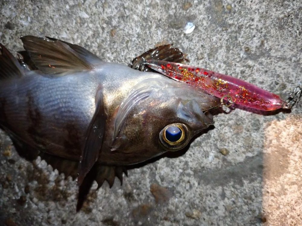 激渋メバリング