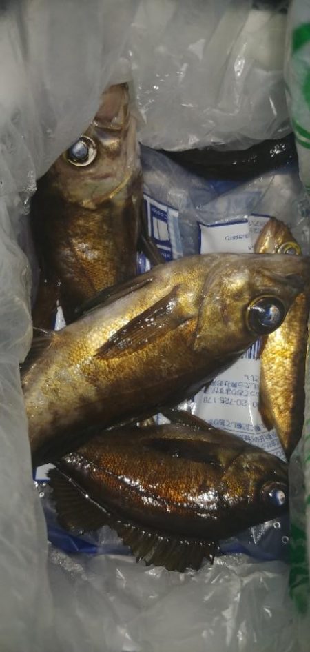 結局ライトソルト