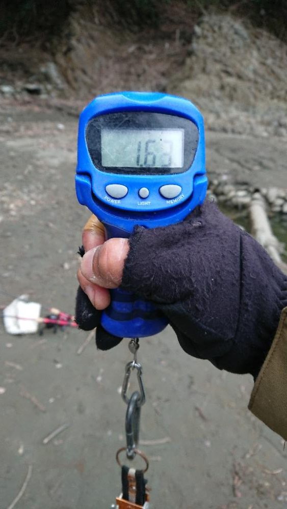 ジャークベイトで1本