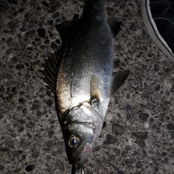 雨の合間をぬって