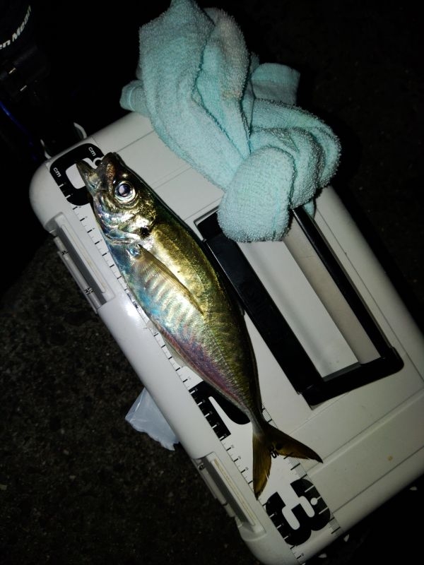 フロートゲーム~