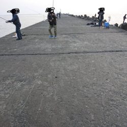 越前三国港尺アジ祭り開催中！！