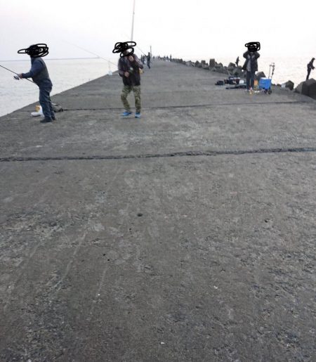 越前三国港尺アジ祭り開催中！！