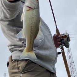 シーズン開幕！