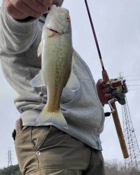 シーズン開幕！