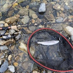 一年ぶりのエリアトラウト!果たして釣れるのか⁈