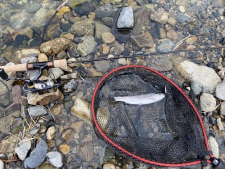 一年ぶりのエリアトラウト!果たして釣れるのか⁈