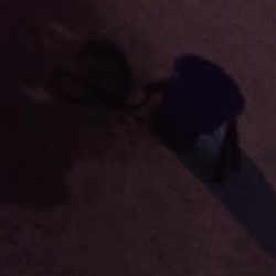 アジが苦しいこのごろですがダメ元でアジ釣りに☆彡