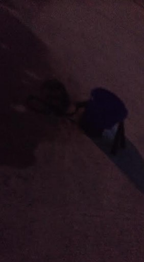 アジが苦しいこのごろですがダメ元でアジ釣りに☆彡