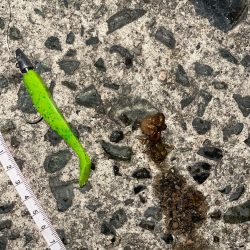 コアマンアルカリでメバリング