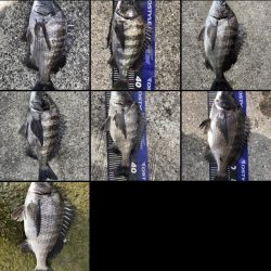 イチノ兄弟、釣果！