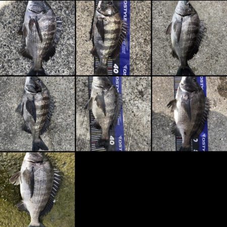 イチノ兄弟、釣果！