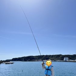 思わぬ大物！！