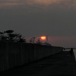 やっと来た! 47cm