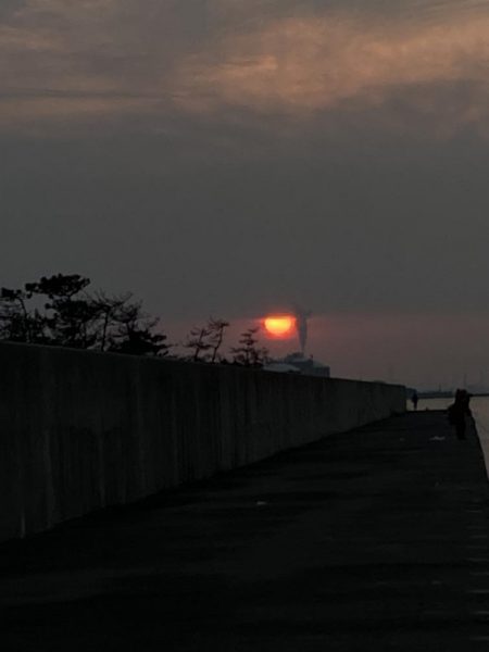 やっと来た! 47cm