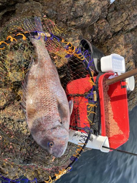 いきなりの大型にビックリ