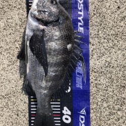 イチノ兄弟、釣果！