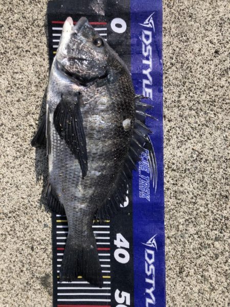 イチノ兄弟、釣果！