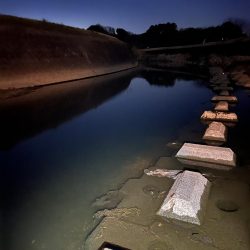 2022年ナマズ 始まりました！！