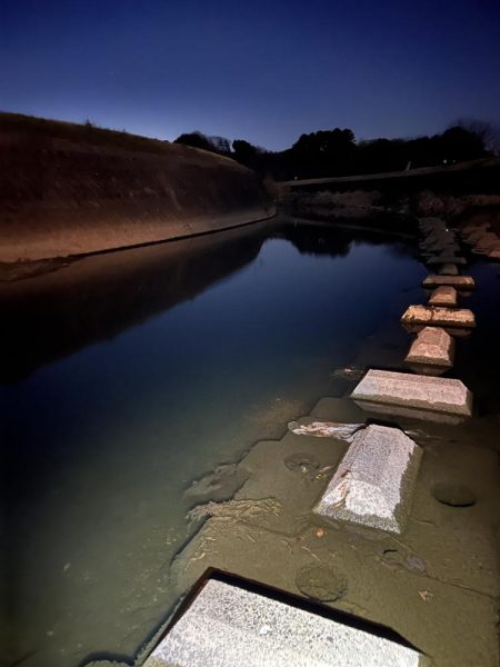 2022年ナマズ 始まりました！！