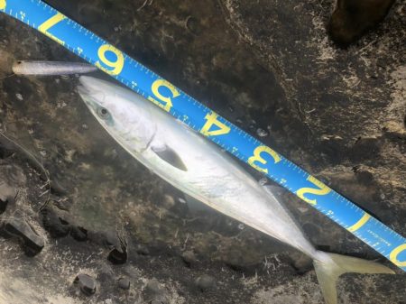 今日もトップで