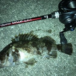 久々のメバリング