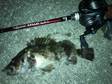 久々のメバリング