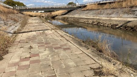 地元の川でパン鯉ゲーム