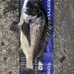 題名連日年無し❗️(イチノ兄弟)